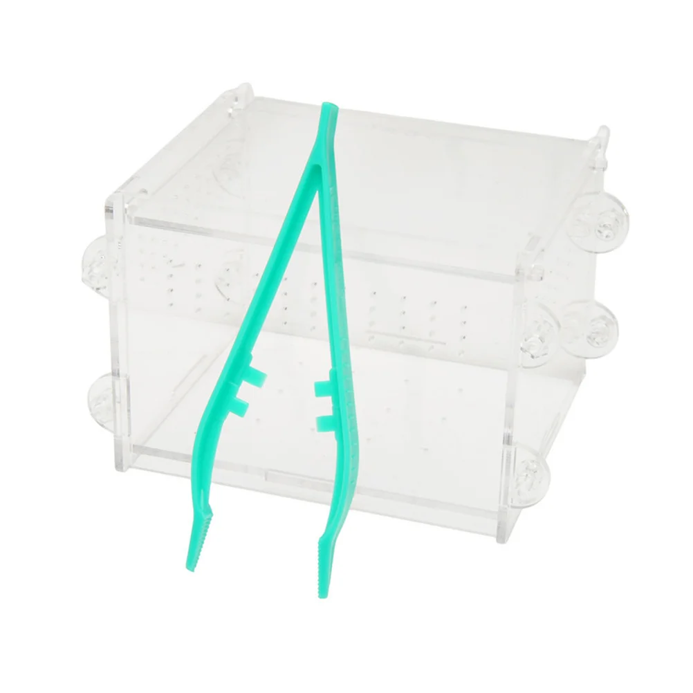 

20Pcs Feeding Clamp for Reptiles Safe Handling in Terrariums Turtles Tanks Non Rusty Easy to Clean Clips