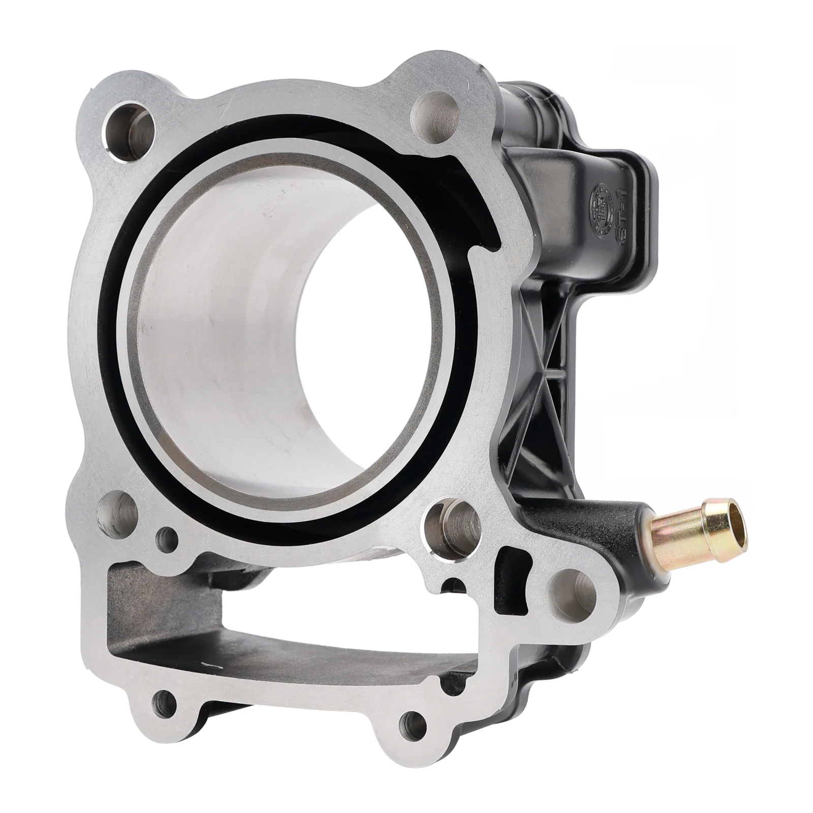 72mm 2012-2023 Wholesale Customizable Bulk Supply Custom OEM Bajaj Pulsar NS200 RS200 AS200 Motorcycle Cylinder Piston Kit