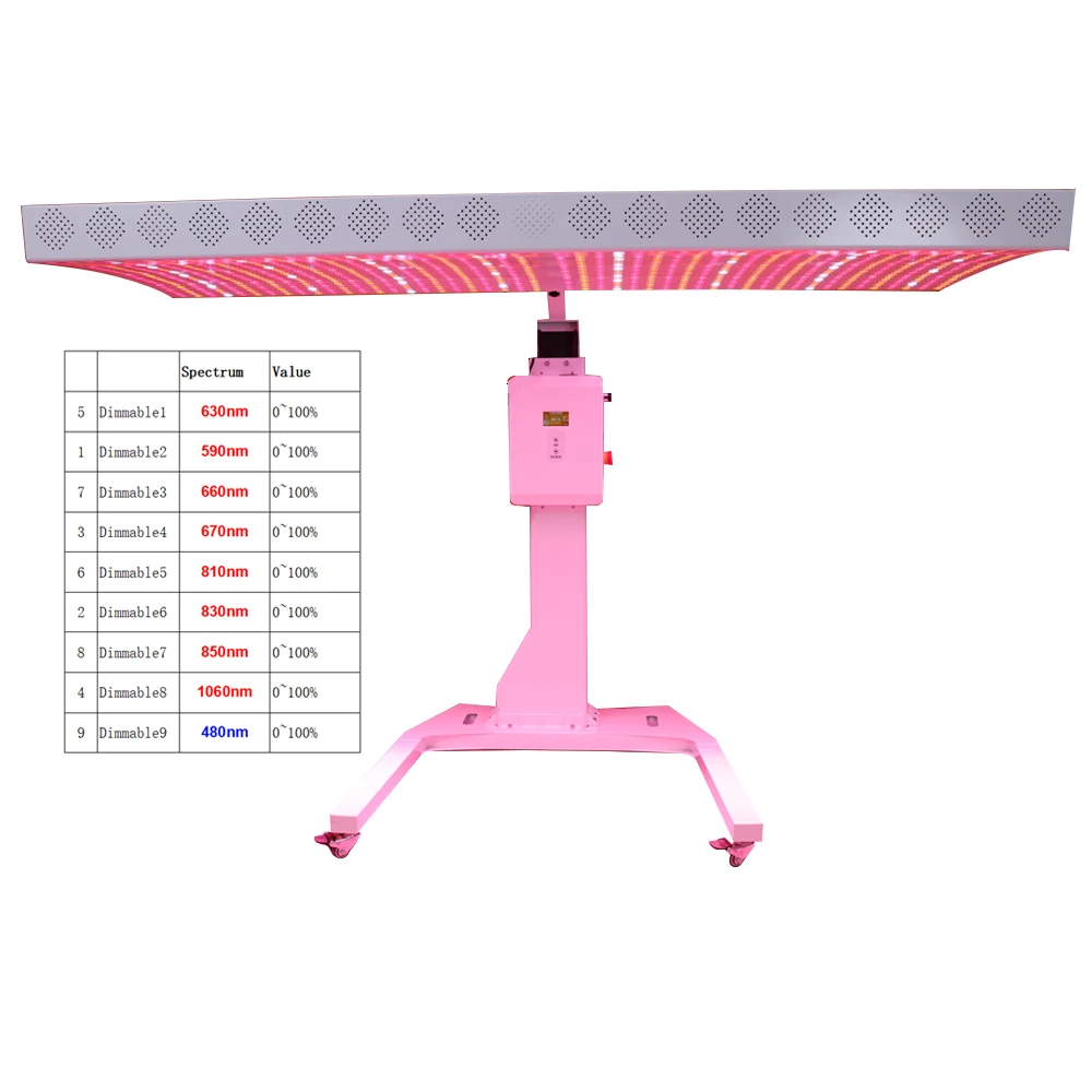 480, 590, 630,660, 670, 810, 830, 850,1060nm New arrival DIY touch control full body recharge relax Red Light Therapy Bed Capsul