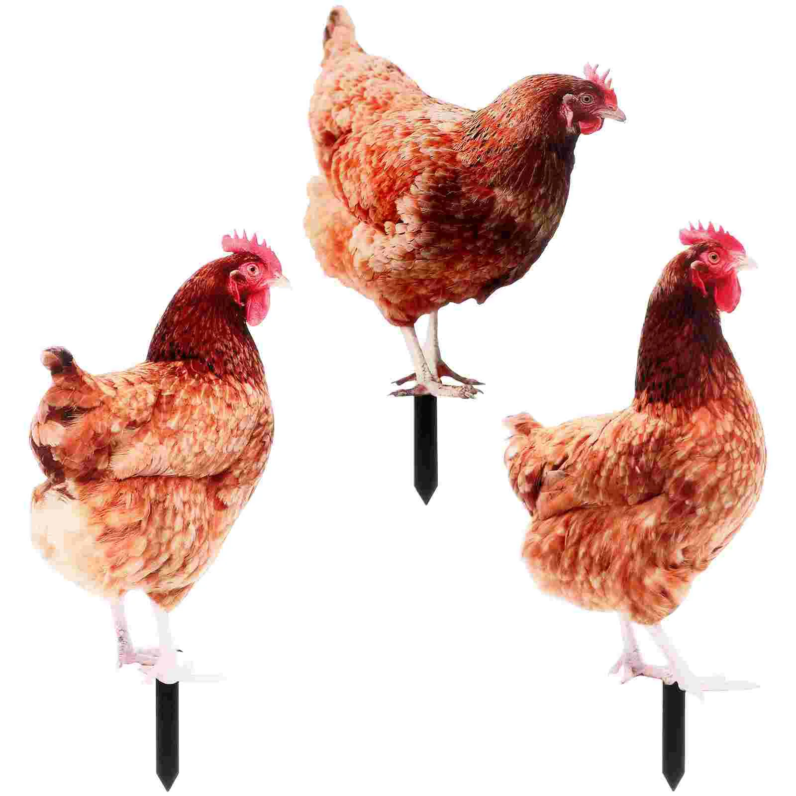 

3 Pcs Chicken Stake Yard Ornament Decoration Outdoor Adornment Garden Yards Lawn Sign Hen