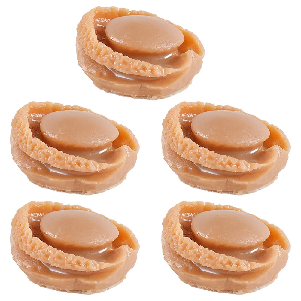 5 stuks Mini Abalone Voedsel Speelset Realistische Simulatie Heldere Kleur Decoratieve Craft voor DIY Keuken Scène Hars Nep Voedsel