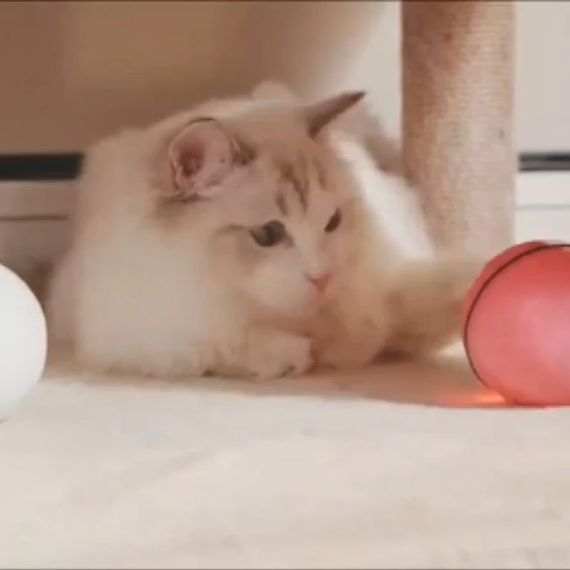 

USB Rechargeable LED Flash Pet Toy Smart Interactive Cat Toy 360 Degree Self Rotating Exercise Stress Ball
