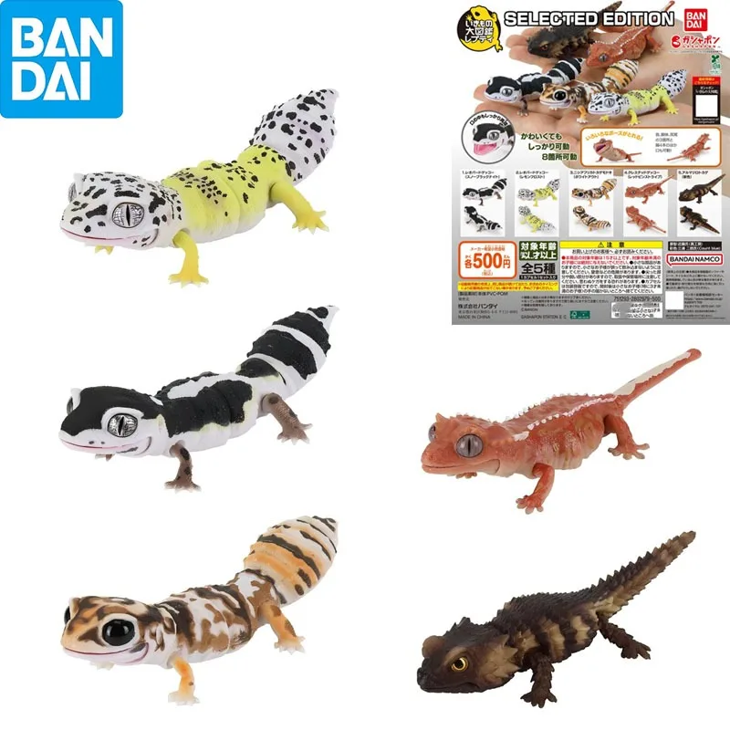 الموسوعة البيولوجية الأصلية من بانداي ألعاب غاشابون سلسلة الزواحف الحيوانات المقلدة نموذج كاليبتراتوس الديكور #1