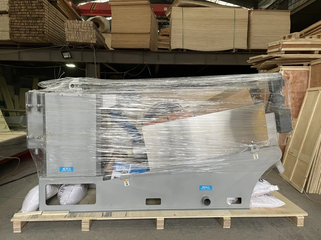 SXDL-301 Dispositivo per la purezza delle acque reflue/Attrezzatura per il trattamento delle acque reflue delle fanghi per la vendita