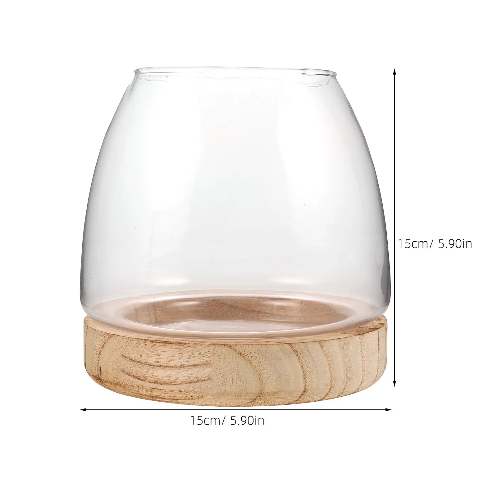 Hydroponic Plant Vase Small Hydroponic Vase Wood Base Glass Plant Tank Tabletop Decorative Propagation Station Indoor Gardening