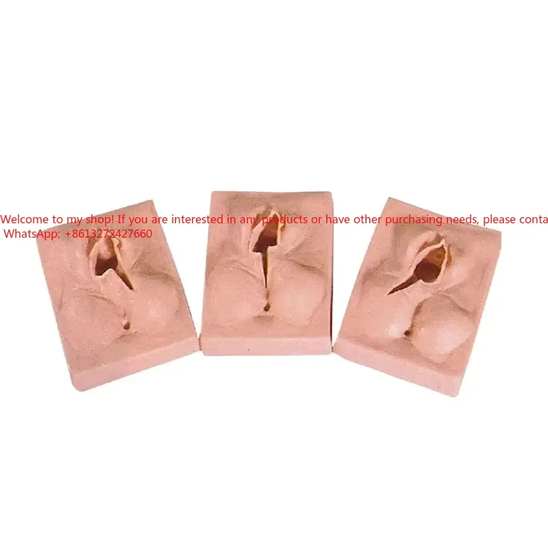Medical Science Training Model for Obstetrics and Gynaecology Vulvar Suture Practice
