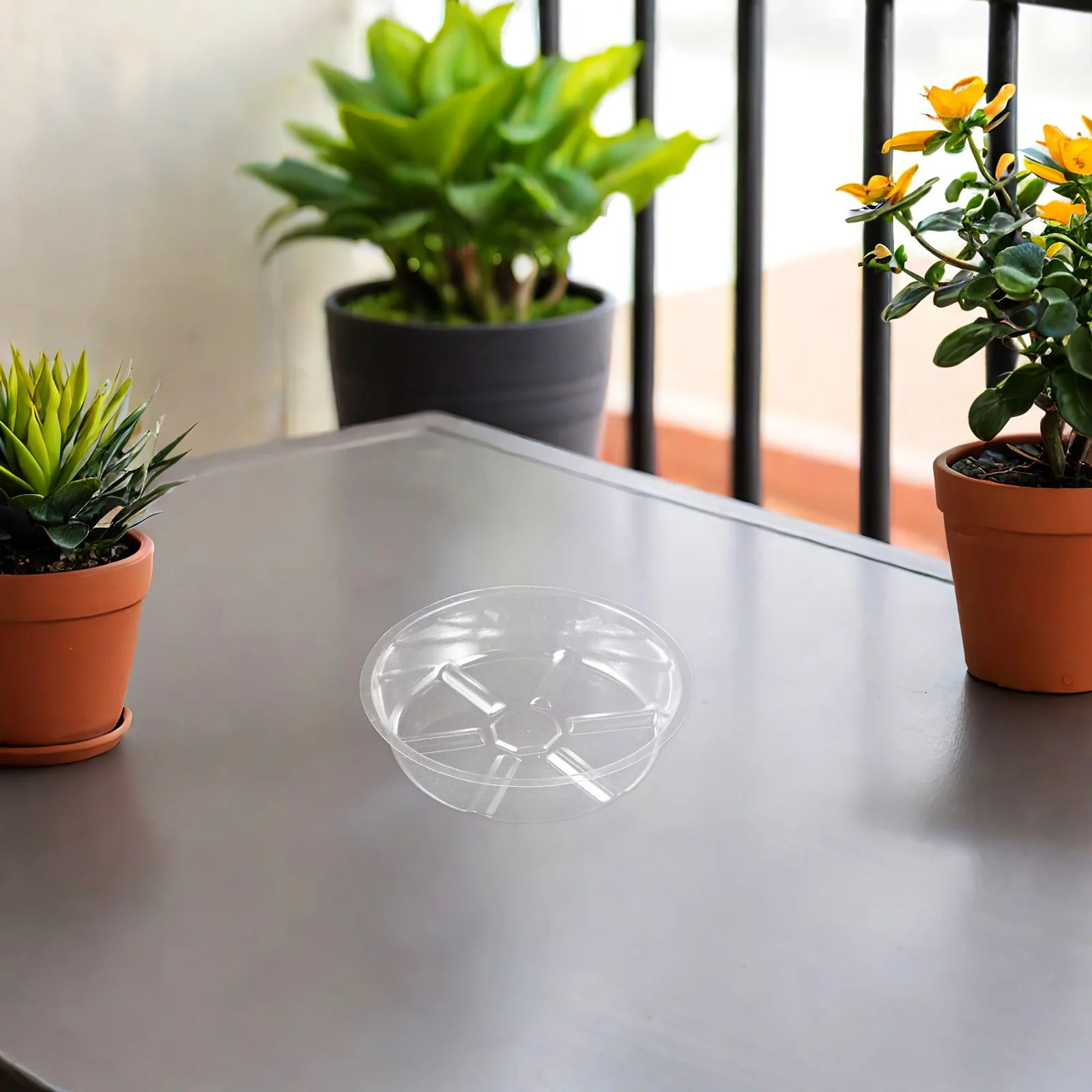 

Garden Plastic Flower Pot Trays Lightweight Strong Decorative Plant Saucers for Pots Indoor Outdoor Use Multiple Sizes Available