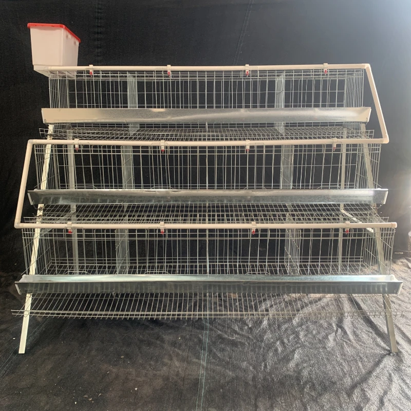 

Bold Stepped Chicken Coop Breeding Cage