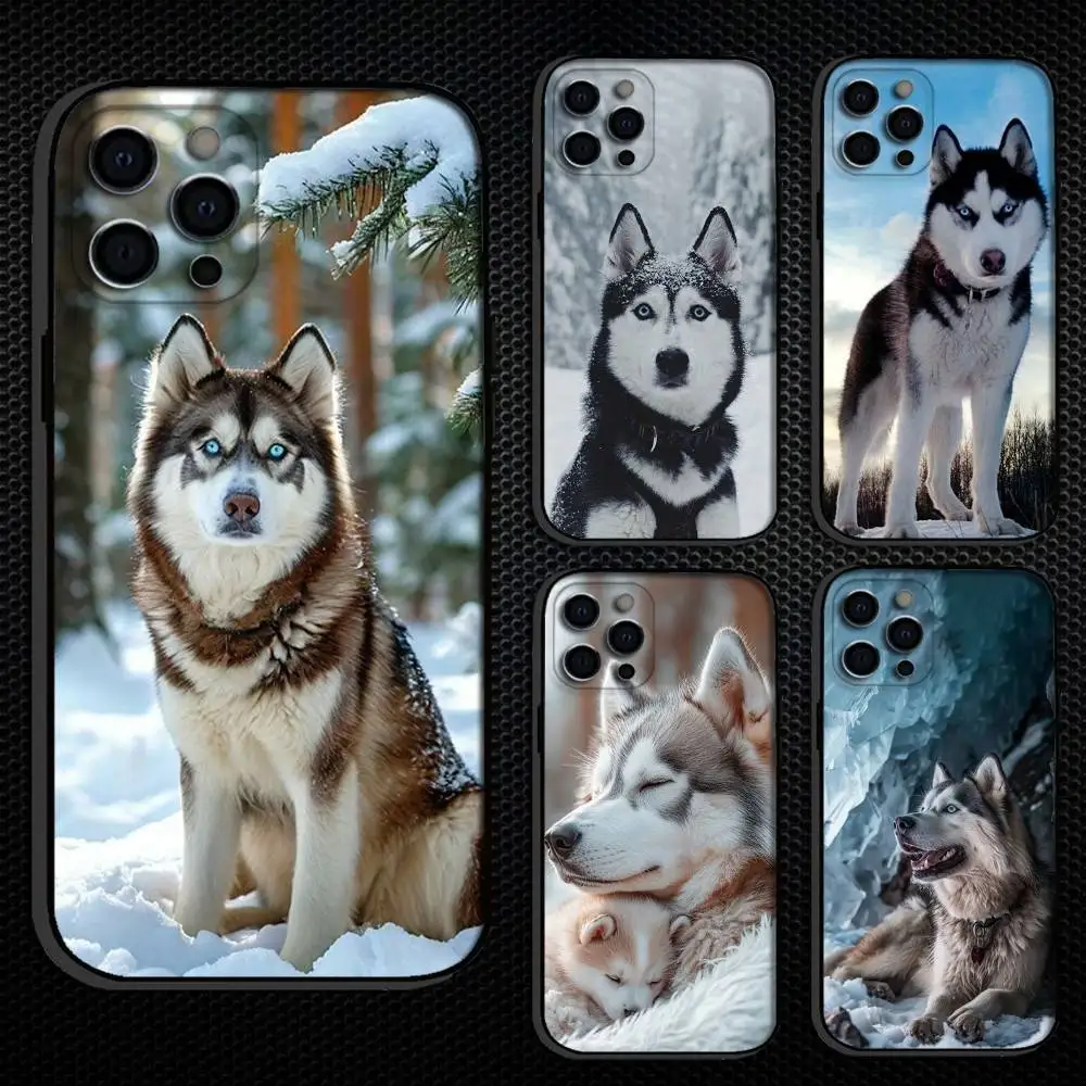 

Siberian Husky Dog Phone Case For iPhone 16,15,14,13,12,11 Plus,Pro Max, Others Soft Black Cover