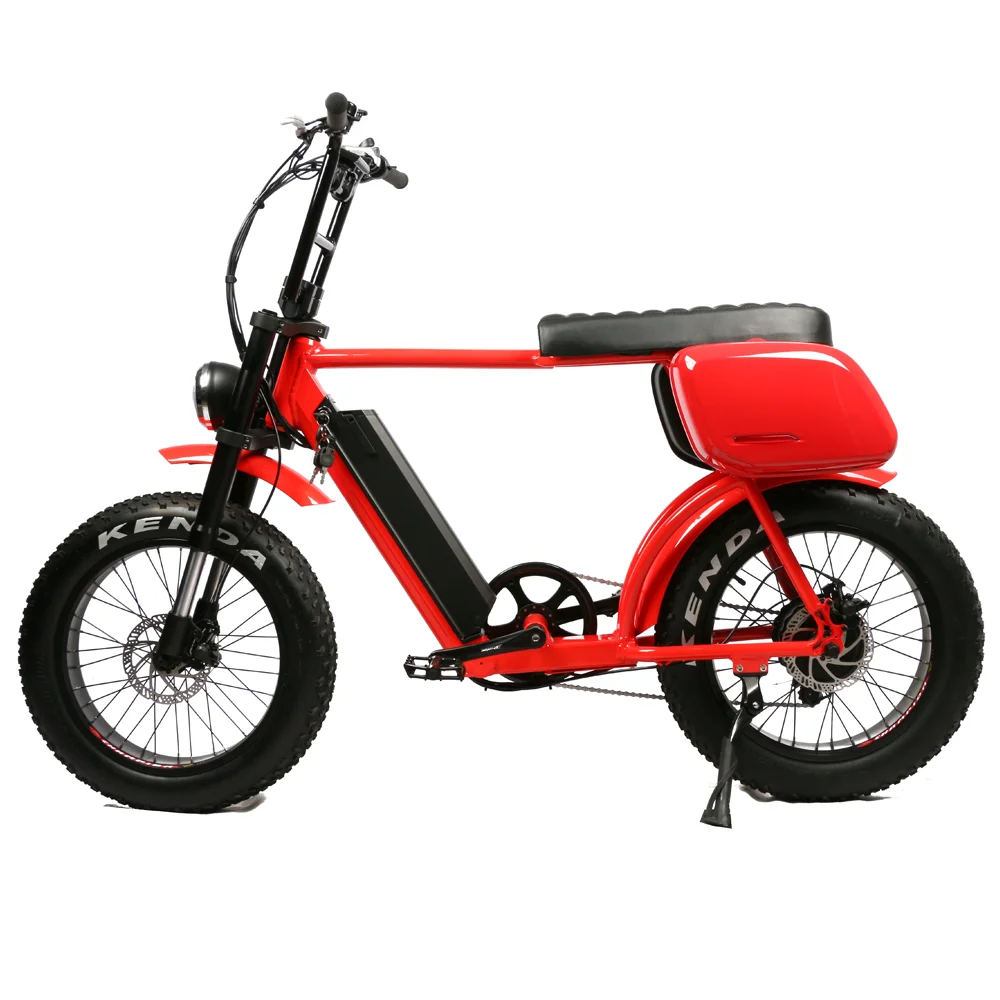 Full Suspension Electric Bike Aluminum Alloy Frame City E Bike 48v 1000w E Bike Fat Tire Conversion Kit with Side Boxes view 4