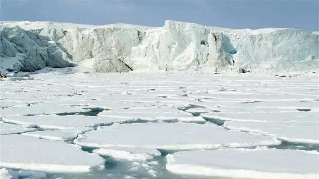 Amortecedor de metal com guincho 2 luz led receptor controle remoto para TRX-4 trx4 trxs axial scx10 rc crawler peças do carro