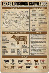 Cattle Knowledge Metal Tin Sign Texas Longhorn Anatomy Poster Animal Farm School Education Club Wall Decoration Plaque