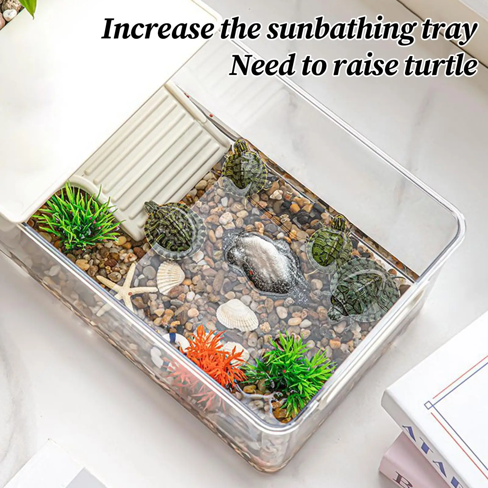 

Turtle Aquarium Turtle Habitat Pet Supplies Terrarium Habitat For Feeding Tortoise Crayfish Frog Reptile Hermit Crabs