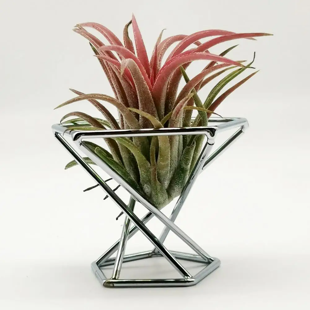 3Pcs Practical Air Plant Stand Holder  Minimalist Metal Tillandsia Display Stand  Beautify Airplant Container Pot