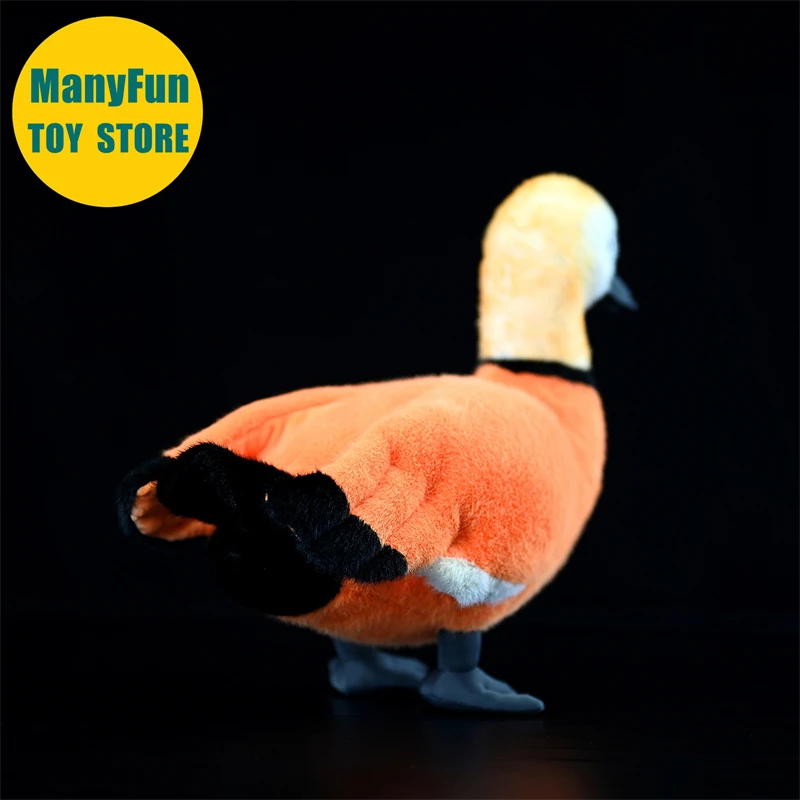 Ruddy Shelduck Plush Toy Realistic Brahminy Duck Plushie Lifelike Wild Duck Stuffed Animal Simulation Toy Gift