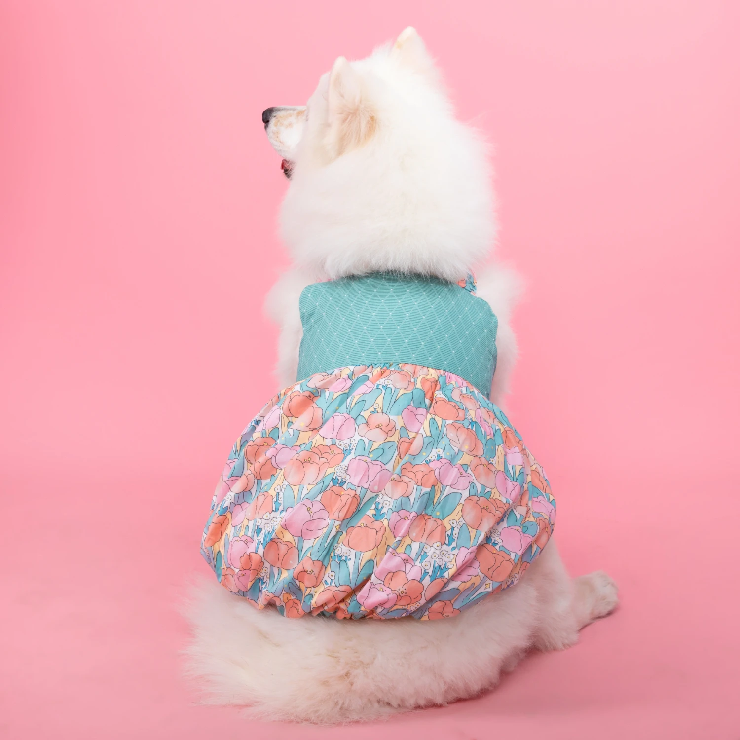 Dog Chest Back Skirt Shirt, Cute Pet Clothes, Cute Sweet Skirt, Suspender Skirt