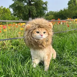 Sombrero de Peluca de gato de melena de León, gorro divertido para mascotas, disfraz de Cosplay de perros de fiesta de lujo, sombrero de cachorro de gatito con orejas, accesorios