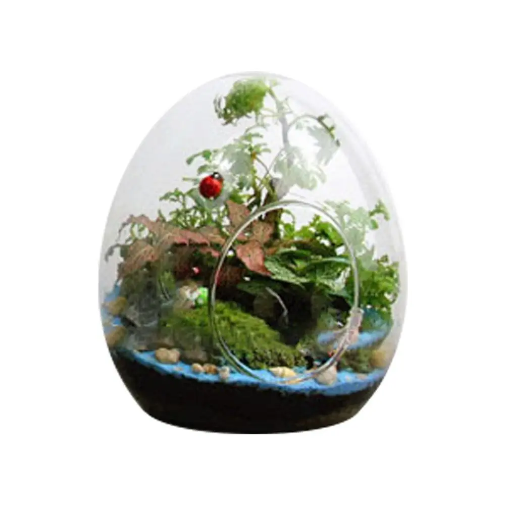 Creative Egg-shaped Glass Bottles Succulent Glass Vase Hydroponic Fleshy Micro Landscape Glass Terrarium Moss Home Decoration