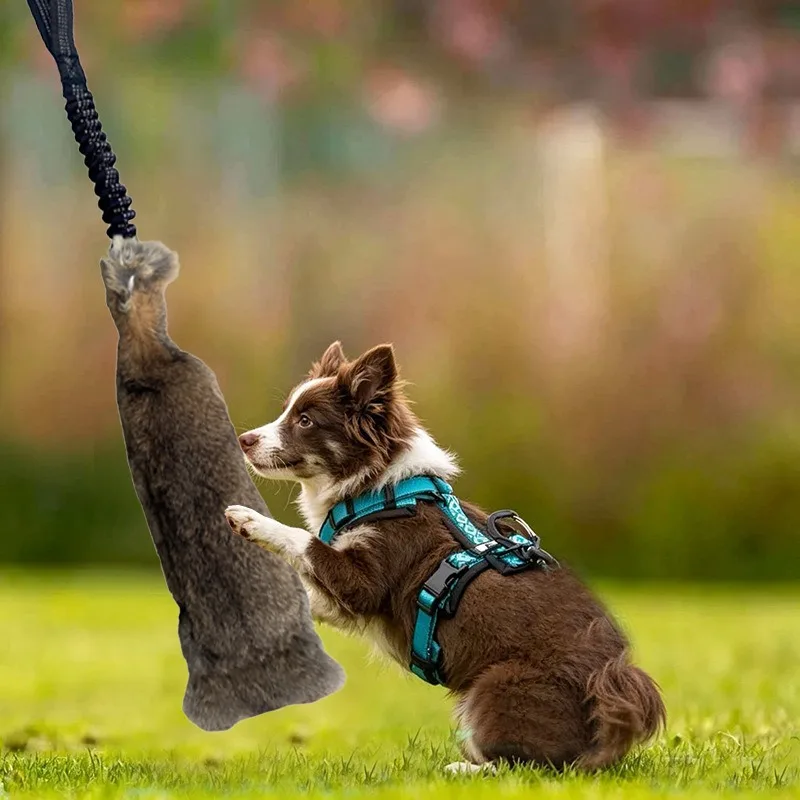 JUSTINLAU Kaninchenfell-Quietschspielzeug für Hunde, Beißspielzeug für Interaktives Outdoor-Spiel, Plüsch-Soundspielzeug für Mittelgroße & Große Hunde – Detail 18