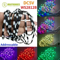 1000-3000 sztuk DC5V WS2811 LED Pebble Pixel String Light GRB adresowalny pełny kolor IP67 15/20/25/30mm/50mm/100mm skok bajkowa lampa