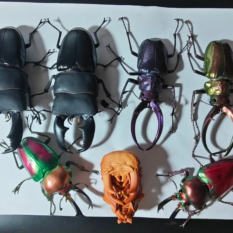 

Bandai Аутентичный атлас чалокомы Кавказский жук Подвижная модель Энциклопедия насекомых Гиперреалистичная игрушка с орнаментом в виде насекомых на складе