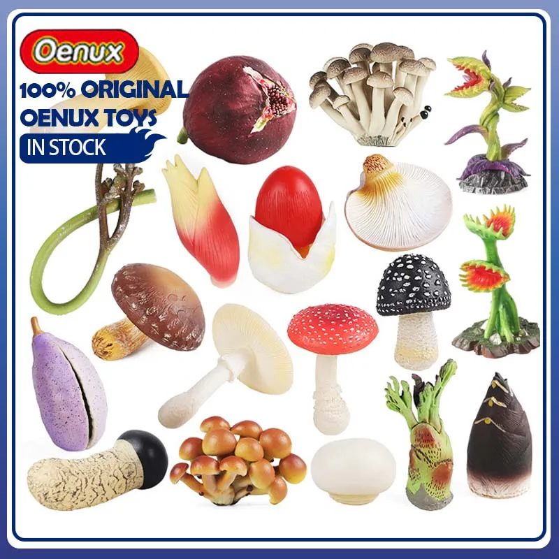 Oenux modèle de champignon simulé légumes jeu de maison champignons jouet d'éducation précoce mouche artificielle Agaric Matsutake Collection enfants