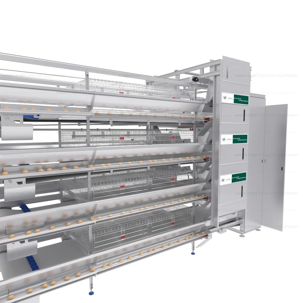 

High-Density Metal Poultry Farming Equipment Fully Automatic H Type Battery Chicken Layer Cage System with Manure Removal