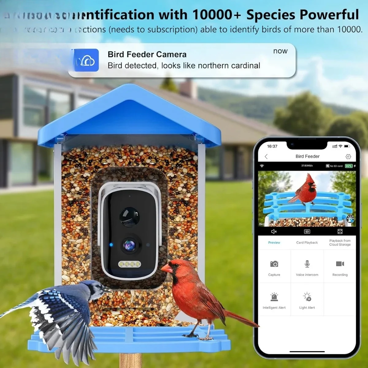 Smart Bird Feeder with Camera, AI Bird Species Identification Solar Powered Panel, 2.5k HD Video Bird House with Camera