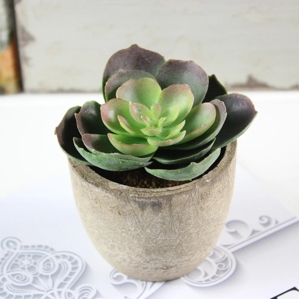 

3pcs Simulated Succulent Plants Artificial Bonsai Home Decoration Lightweight Eco Friendly Plastic Long Term Use Non