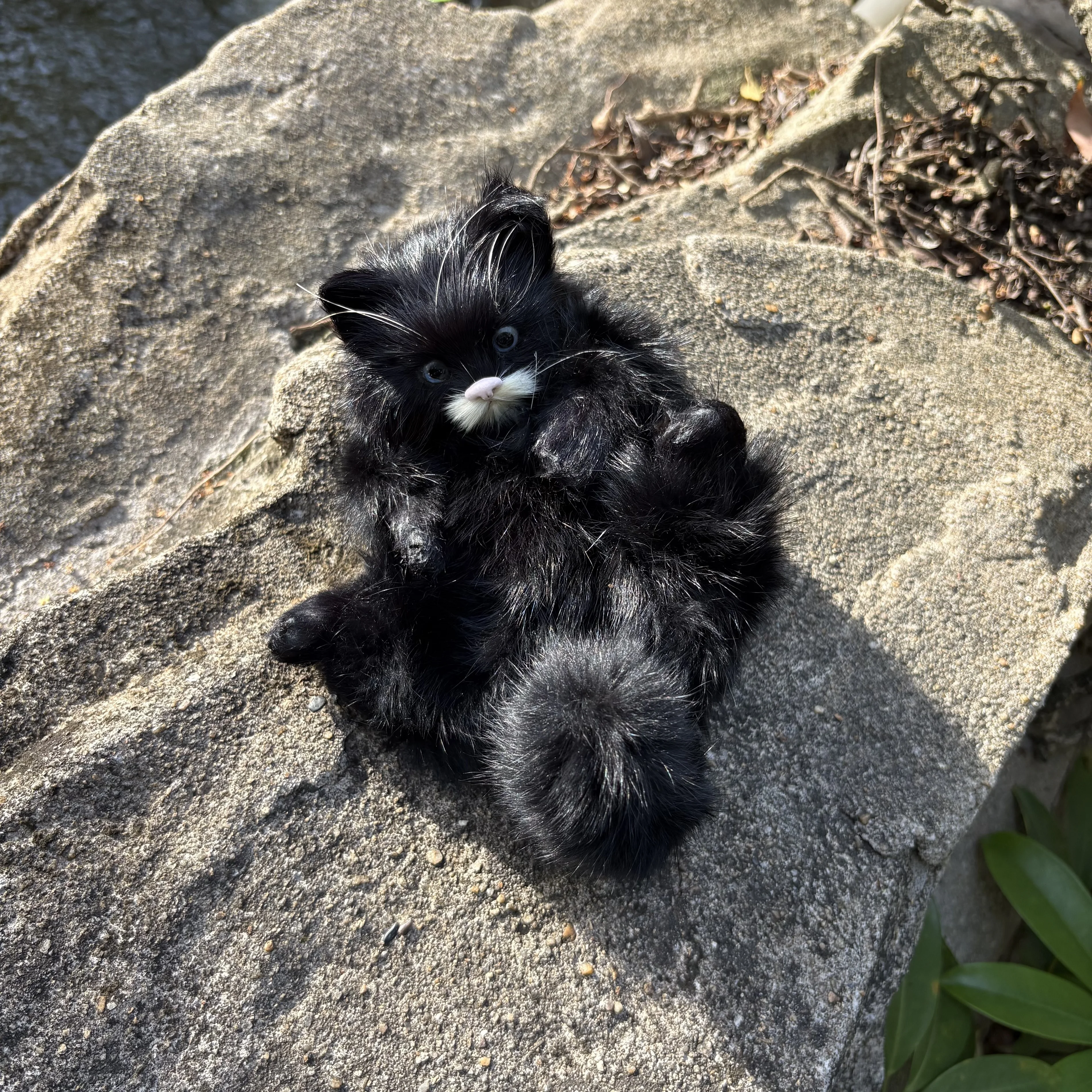 

Black Cat Plush Toy Realistic Soft Stuffed Animal For Children'S Play Desktop Decoration Office Cute Doll Collectible Pet