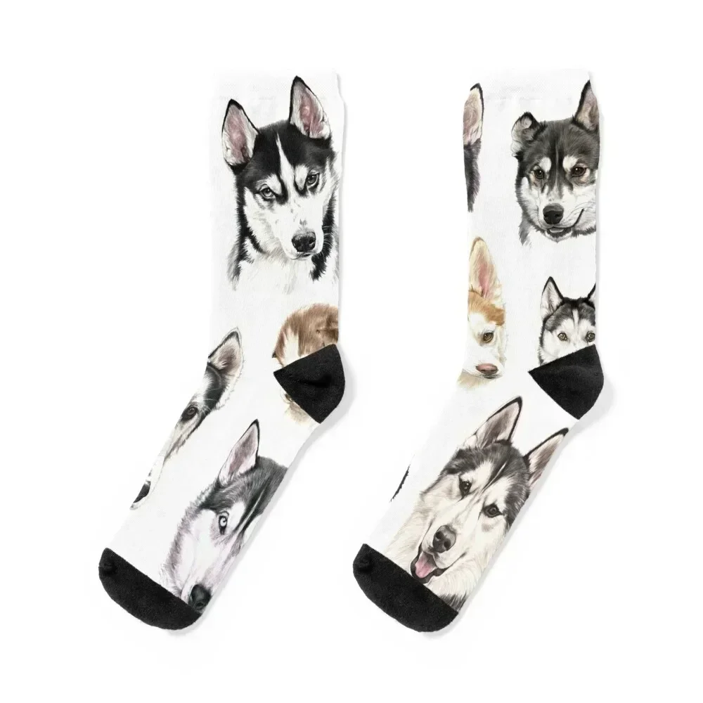 

Husky collage Socks summer New year's Socks Male Women's
