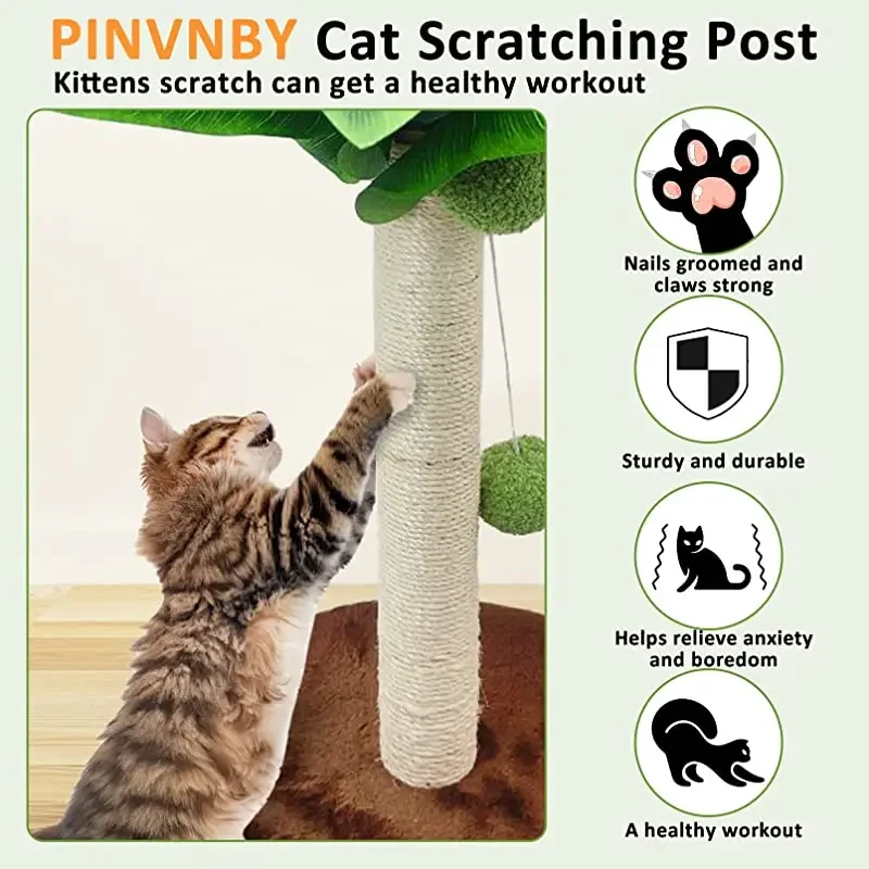 Cat Scratching Post for Cats Tree Catcus Cat Scratcher Posts Toy Cute Kitten Kitty Sisal Rope Scratch with Teaser Ball