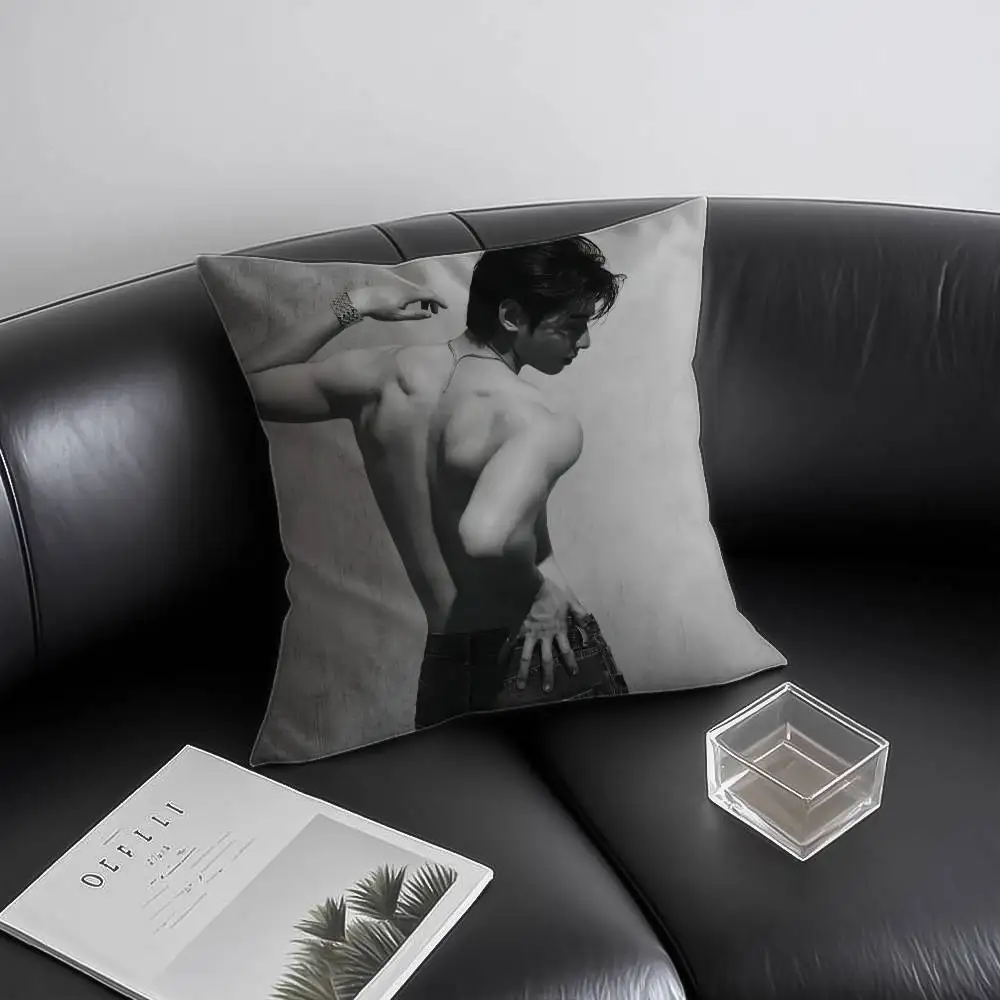Kpop Singer Cha E-Eun W-Woo Pillow Case Anti-dustmite Invisible zipper Sofa Bed