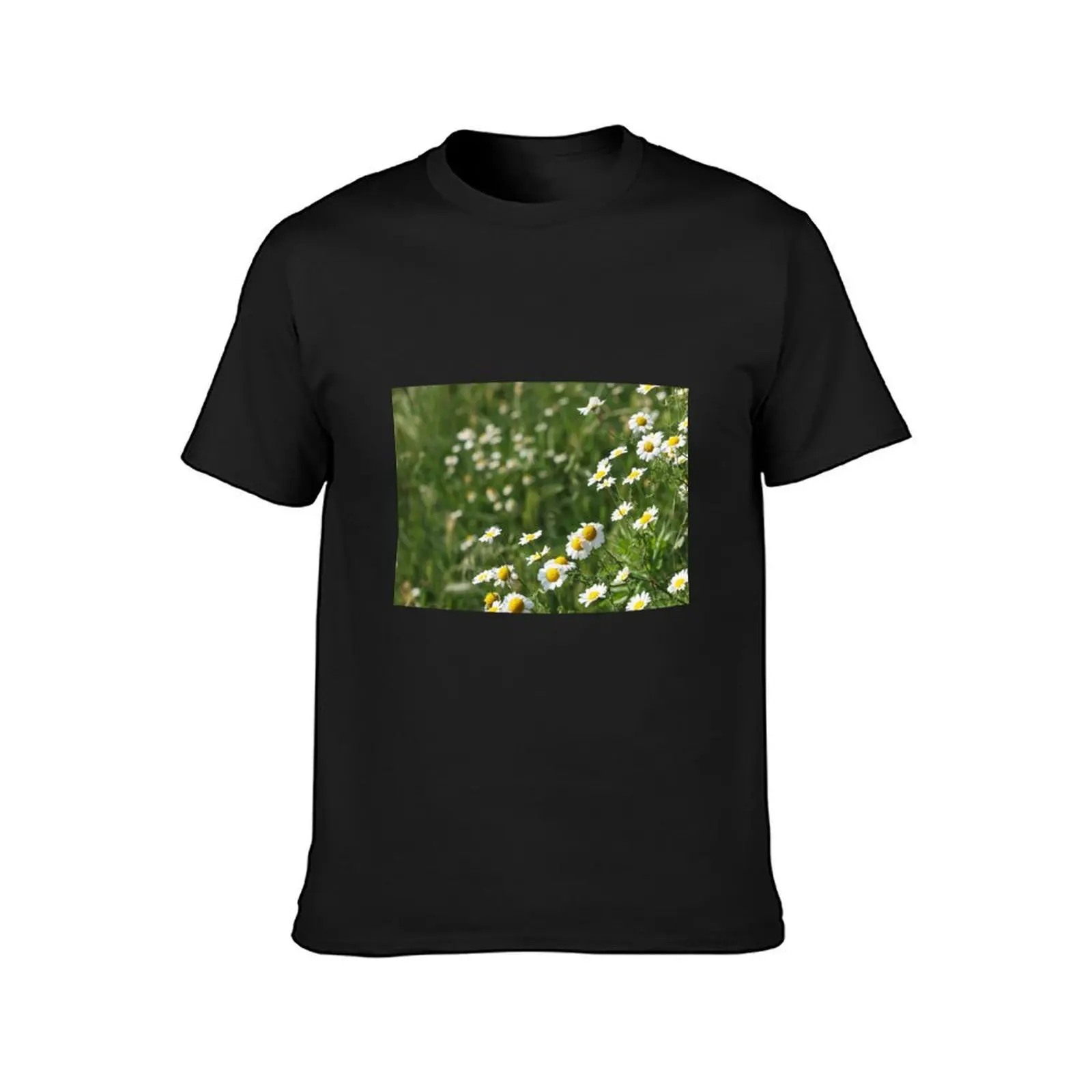 chamomile flower meadow spring season T-Shirt cute clothes kawaii clothes plain anime clothes mens white t shirts