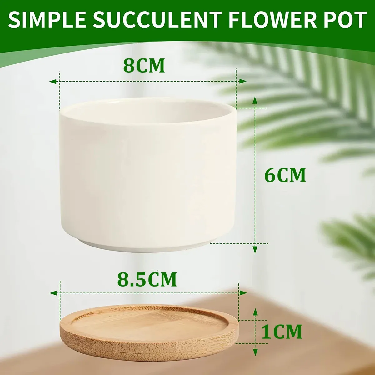 وعاء زراعة الصبار الصغير وفتحة الصرف، وعاء زراعة زهور سيراميك صغير أبيض مع صينية من الخيزران، بوعاء طاولة