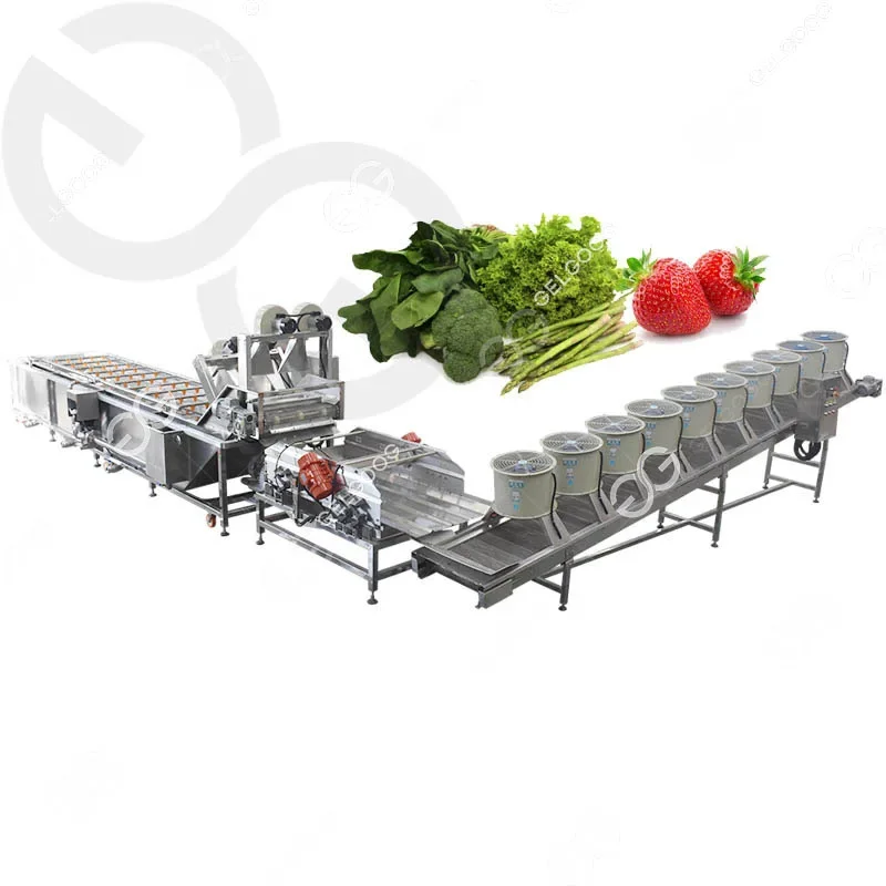 Conveyor Belt Air Bubbles Shallot Green Leaves Washing Machine Small Lettuce Celery Vegetable Washing Machine