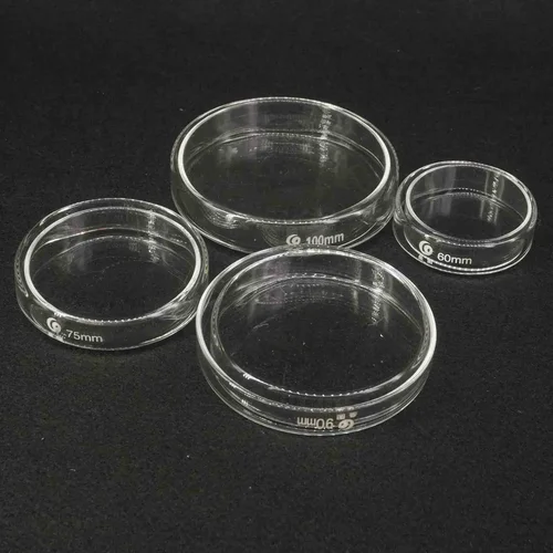 Imagen 2 del producto 60/75/90/100/120/150/180/200mm con tapas, levadura bacteriana de laboratorio, plato de cultivo de Petri de vidrio de borosilicato
