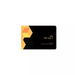 1PC iCopy M1-4b (L1) Cloning Card From Nikola T. Lab