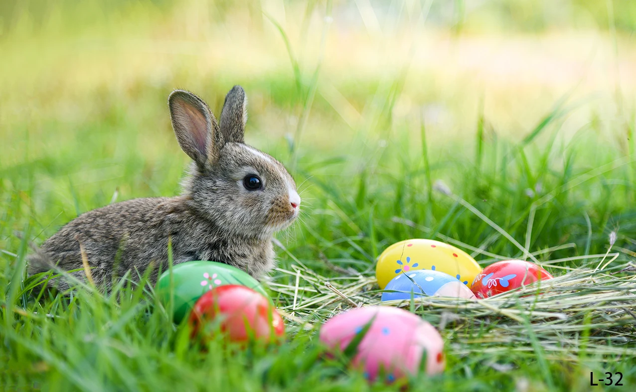 Фоны для фотосъемки с изображением милого кролика зайчика луга красочных яиц Счастливой Пасхи весеннего дня рождения солнечного света цветов
