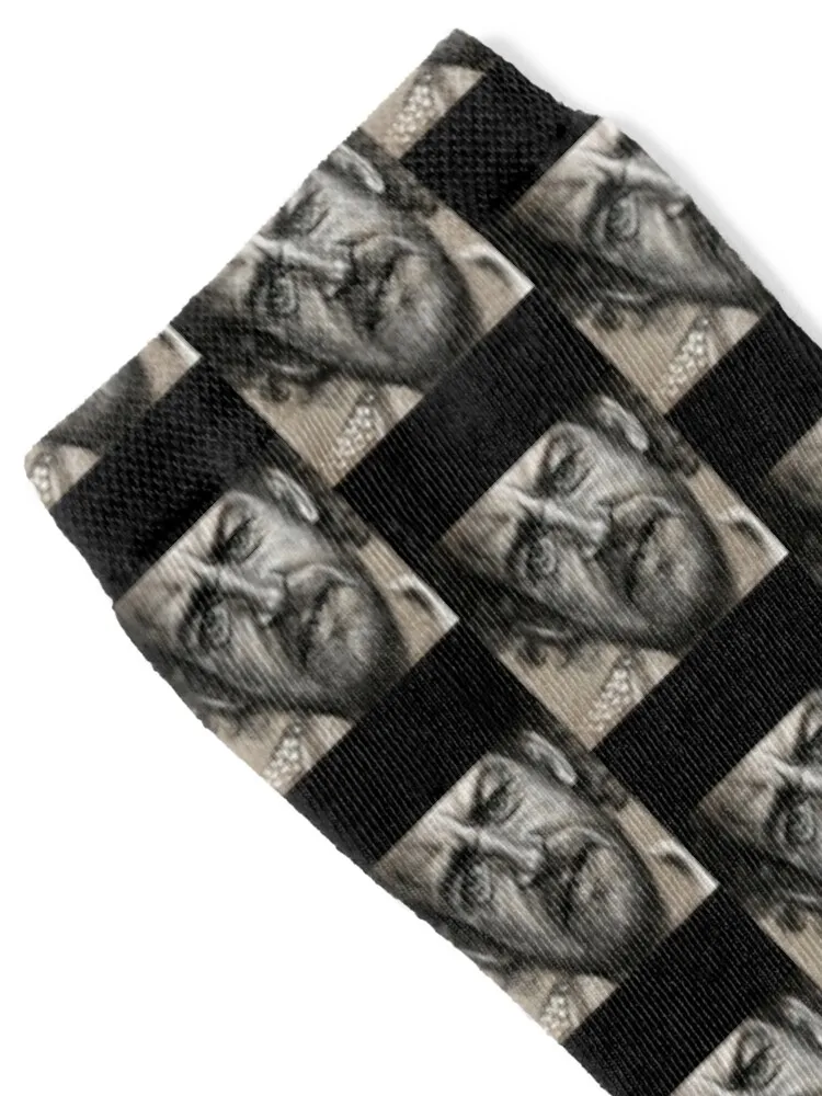 Joe Cocker Socks funny sock hip hop essential designer brand Girl'S Socks Men's