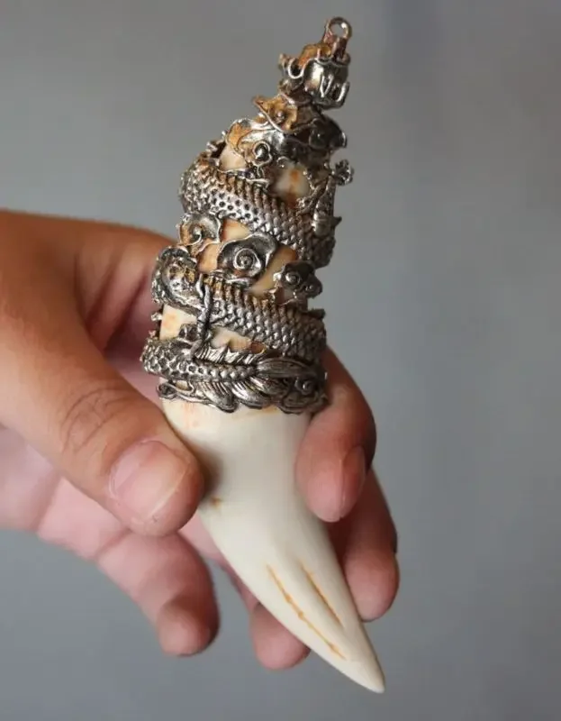 Chinese Antique Boars Tooth Wild Hog Silver Dragon protective talisman