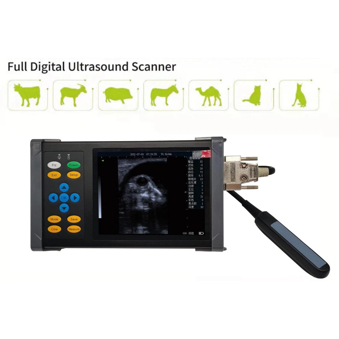 B-scan veterinary ultrasound scanner. Used for farm cow  test, uterine disease check