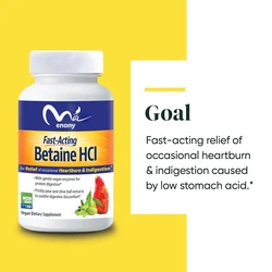 Betaine Hydrochloride Protein Digestive Enzyme Cactus Olive Leaf Extract for Heartburn and Dysdigestion Support, 60 Capsules