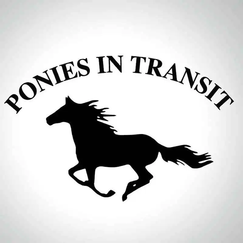 PONIES IN TRANSIT Wall Sticker Equestrian Horse Head Horsebox Trailer Vinyl Decal Removable Waterproof Size Color Tailored Q187