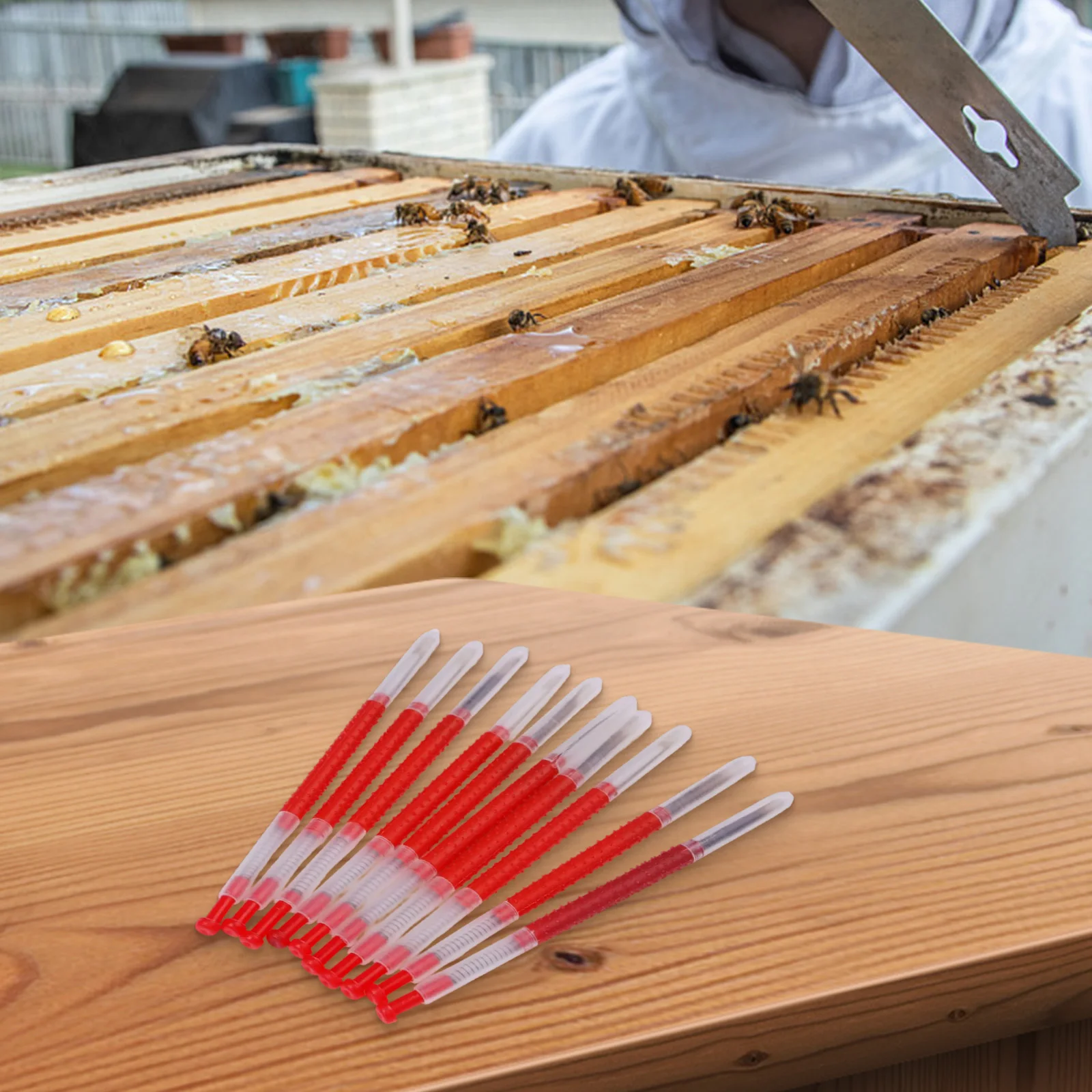Components Bee Larva Grafting Tools For Royal Jelly Production Picking Larvae Queen Re Retractable Transferring