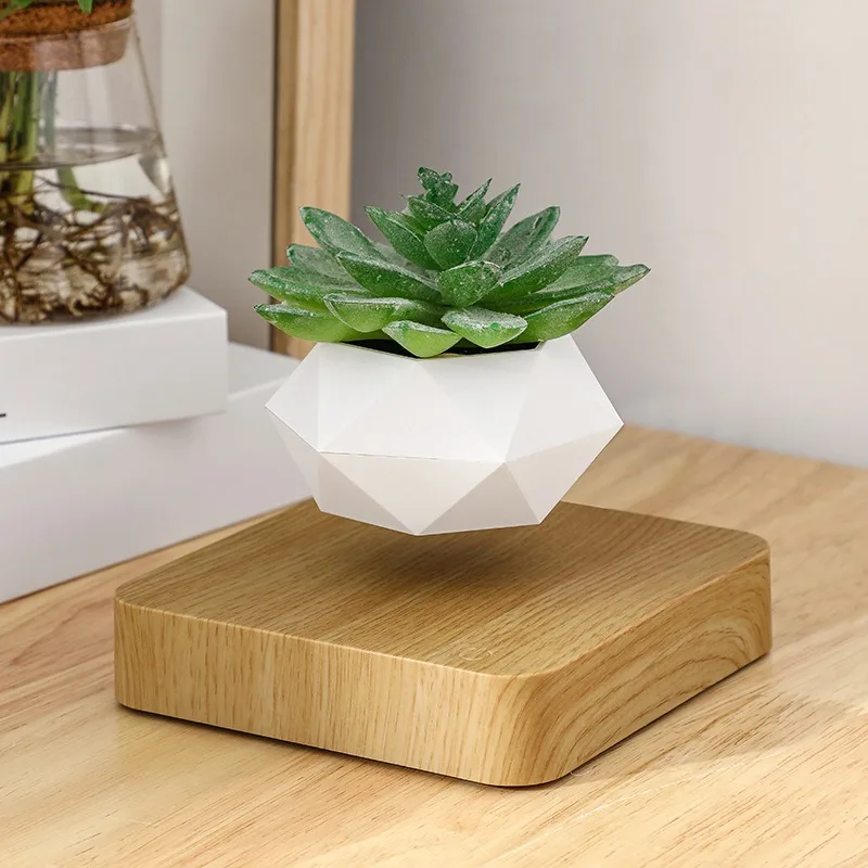 

Magnetic levitation potted home decoration decorations Valentine's Day creative gifts minimalist modern green plant office