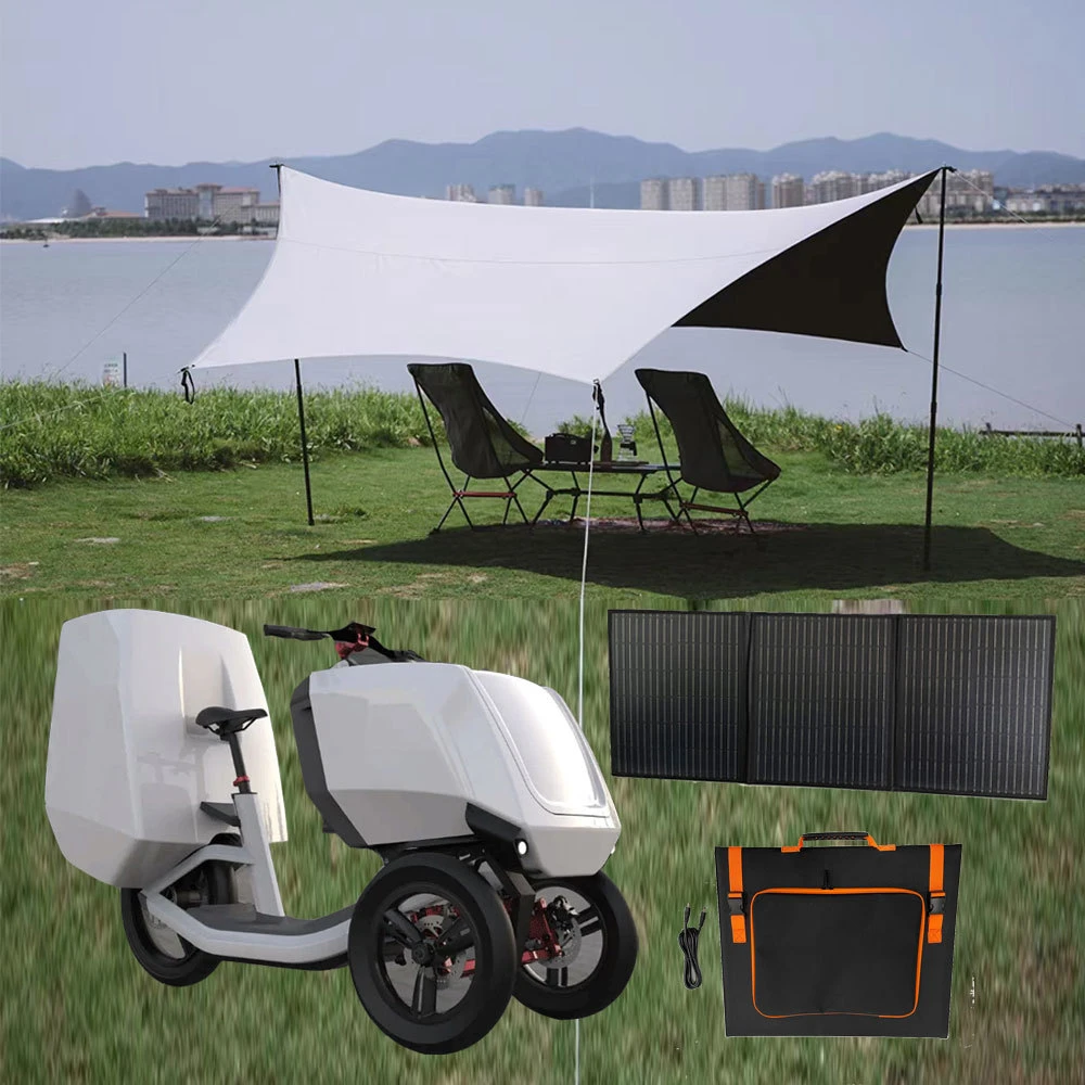 New powerful 1000w delivery bike mobility off road eec pedal tricycle 3 wheel trailer three wheel electric cargo scootercustom