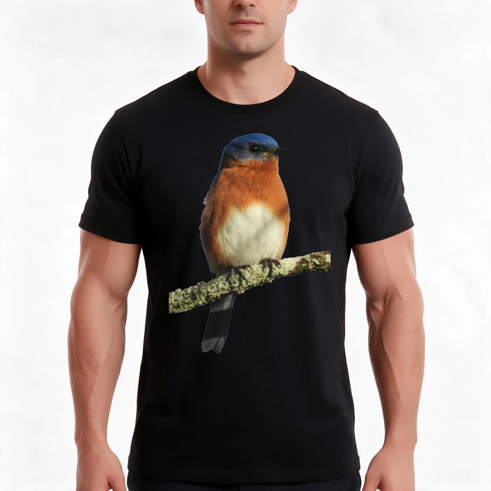Eastern Bluebird T-Shirt, Summer Casual Cotton Tee, Oversized Streetwear Tops, Vintage Graphic Print, Loose Fit Short Sleeve