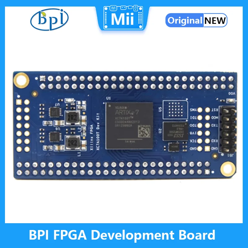 BPI FPGA Development Board