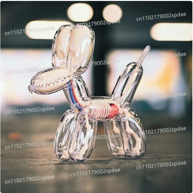 Suitable for 4D MASTER Big Balloon Dog Perspective Bone Internal Organs Anatomical Organ Model Educational Assembly Toy